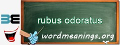 WordMeaning blackboard for rubus odoratus